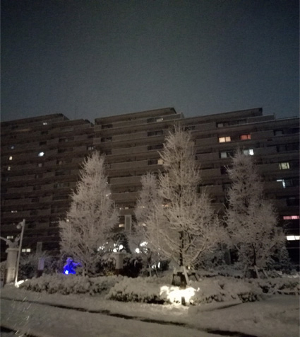 大寒真っ只中