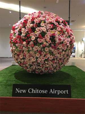 学会報告〜IN北海道〜