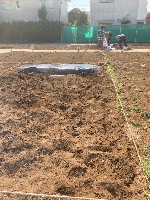 家庭菜園3年目に突入です