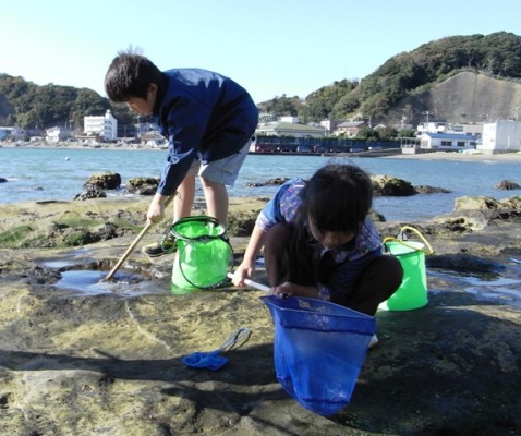 我が家のペット